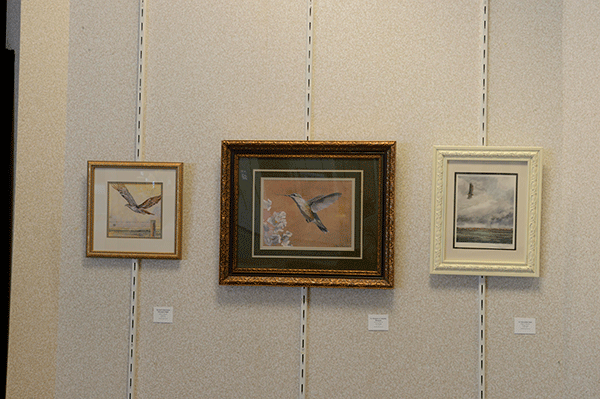 WCI Arts Center Solo Show - "Birds of Hancock County, Illinois"