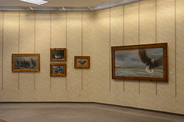 WCI Arts Center Solo Show - "Birds of Hancock County, Illinois"