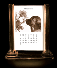 Leonberger Desktop 2010 Calendar