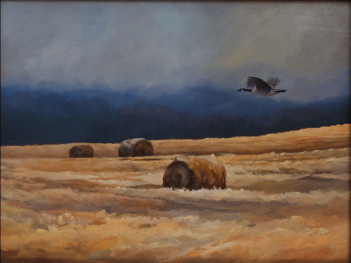 Canada Goose Oil Painting