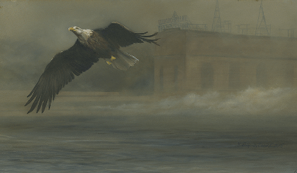 Eagle at Lock & Dam 19 Oil Painting
