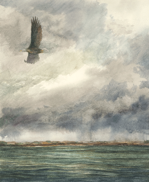 "November Rain" • Eagle at Gray's Point Mississippi River • 7 1/2" x 9" • Watercolor