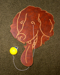 Leonberger Paddleball