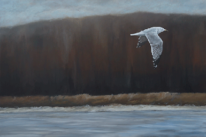 "Mississippi River Gull" • 24" x 36" • Oil Painting