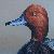 Redhead Duck Drake