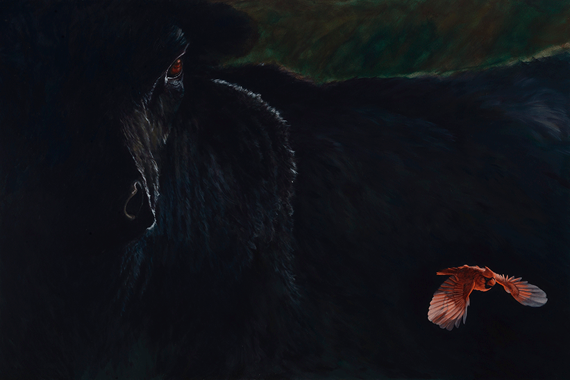 "Study of Dark, Red & Light" • 48" x 72" • Acrylic Painting