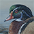 Woodduck with decoy