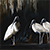Wood Storks Oil Painting