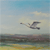 Yellowstone Swan